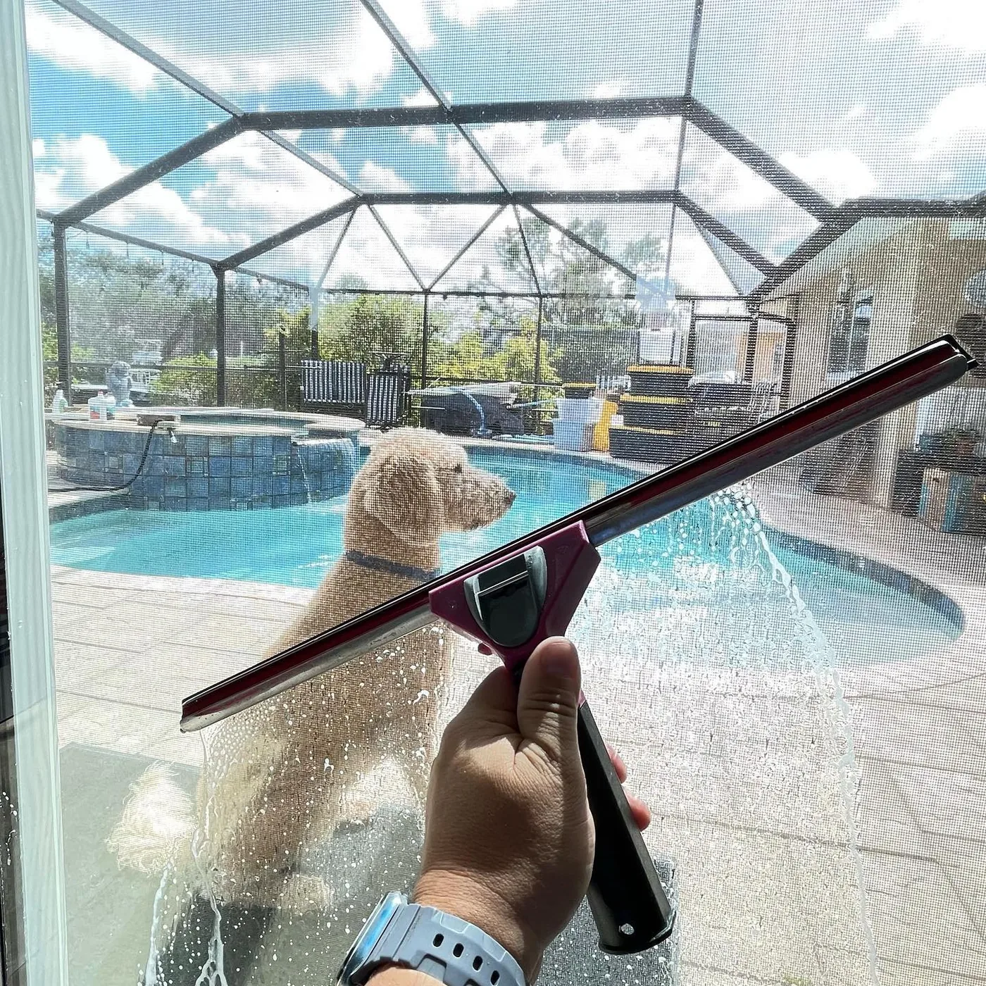 Window cleaning at a local Southwest Florida home with a dog outside